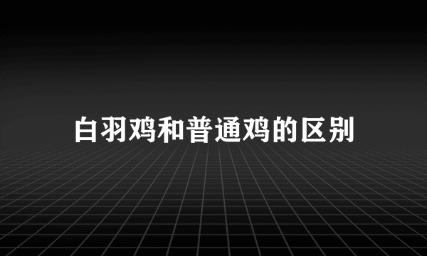 白羽鸡和普通鸡的区别