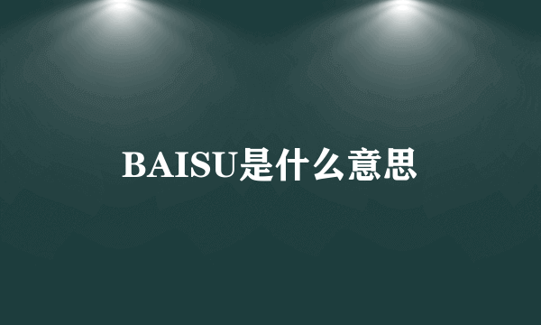 BAISU是什么意思