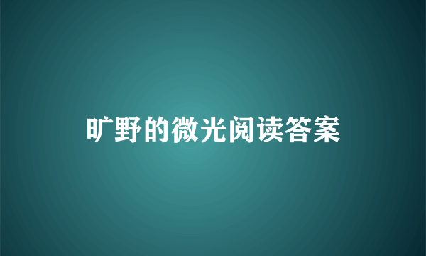 旷野的微光阅读答案