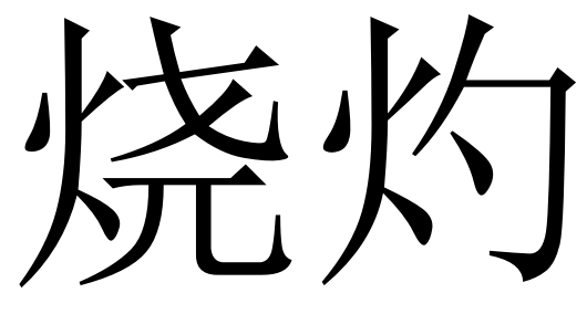 烧灼的意思