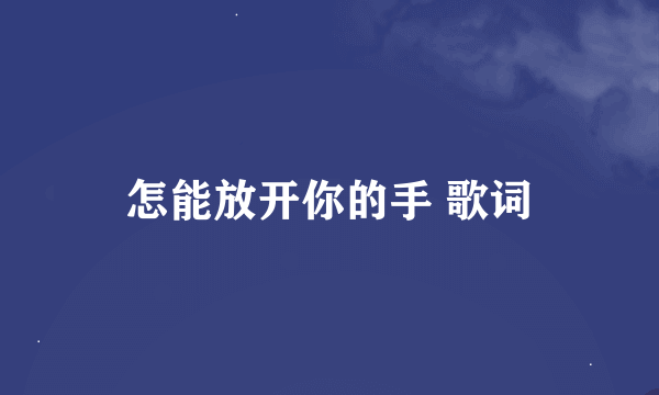 怎能放开你的手 歌词