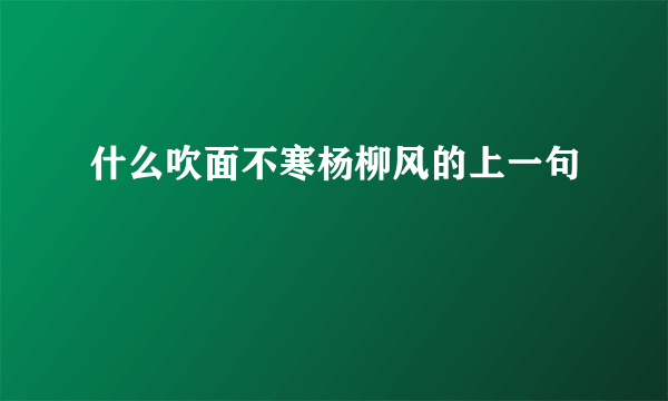 什么吹面不寒杨柳风的上一句