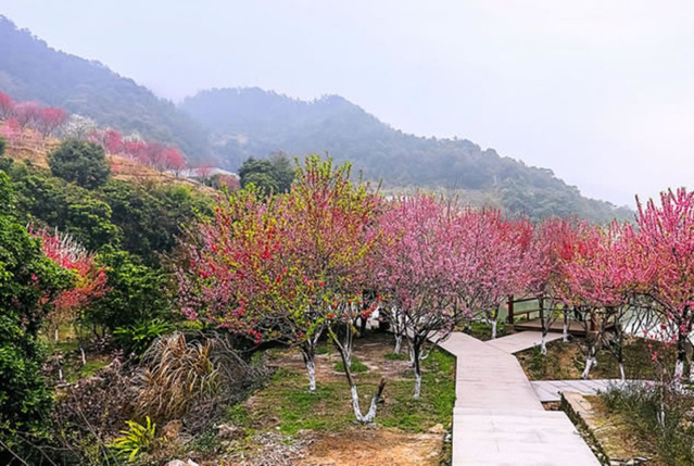 安阳都有什么景点