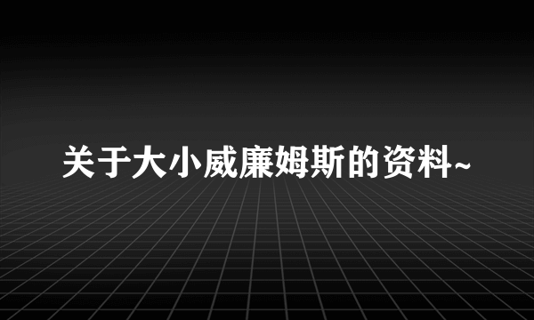 关于大小威廉姆斯的资料~