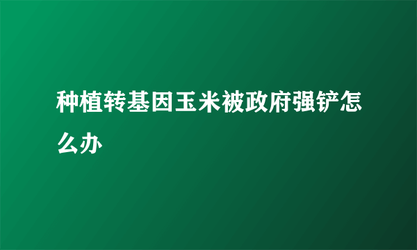 种植转基因玉米被政府强铲怎么办