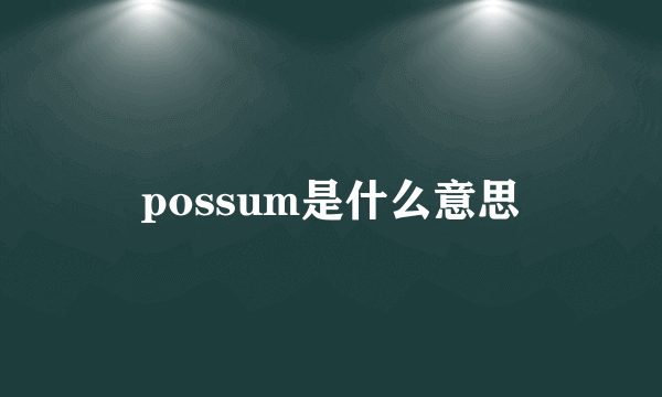 possum是什么意思