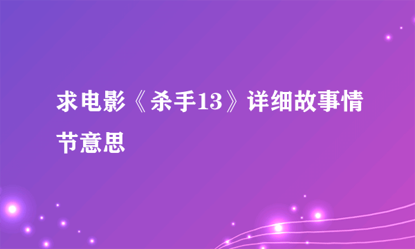 求电影《杀手13》详细故事情节意思