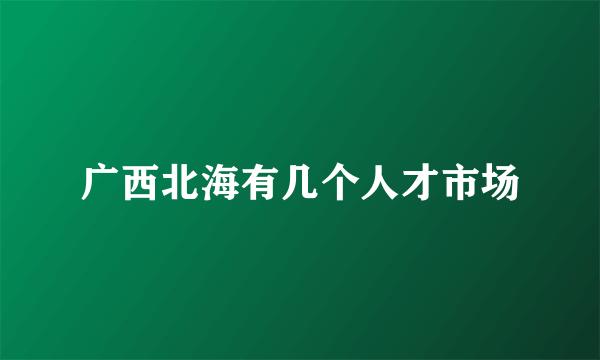 广西北海有几个人才市场