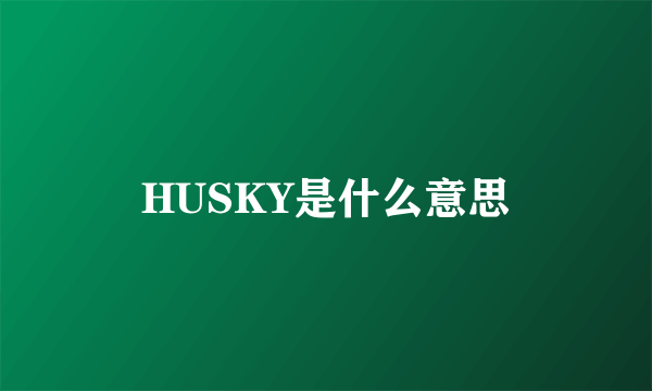 HUSKY是什么意思