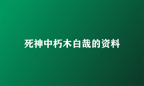 死神中朽木白哉的资料