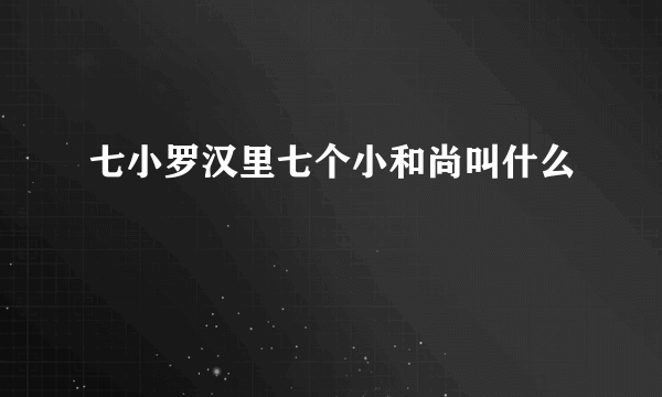 七小罗汉里七个小和尚叫什么