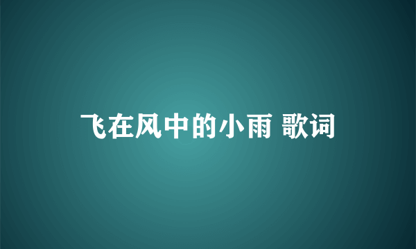 飞在风中的小雨 歌词