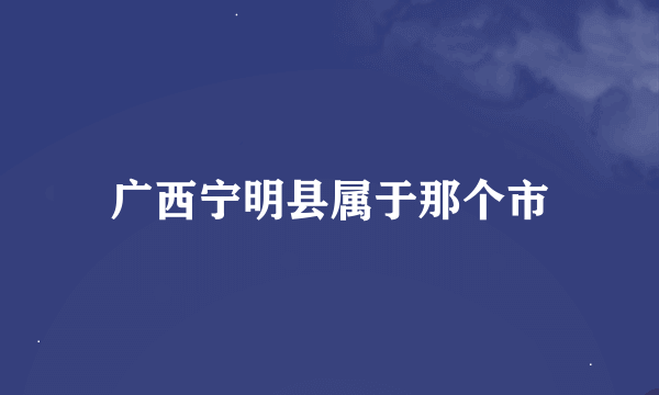 广西宁明县属于那个市