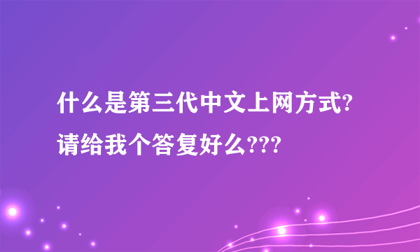 什么是第三代中文上网方式?请给我个答复好么???