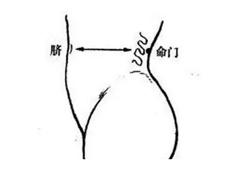 命门是什么意思？？