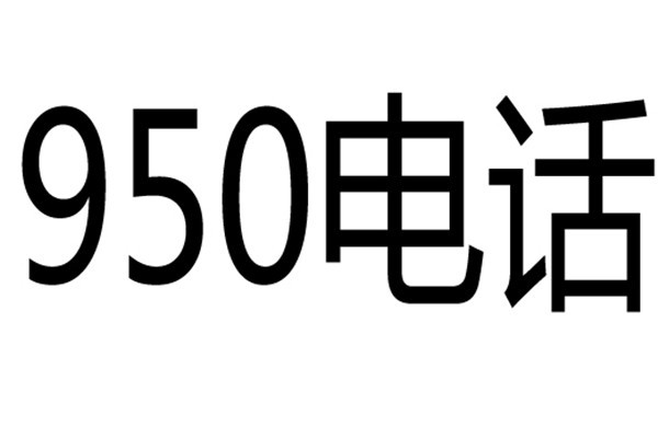 950 是什么意思？