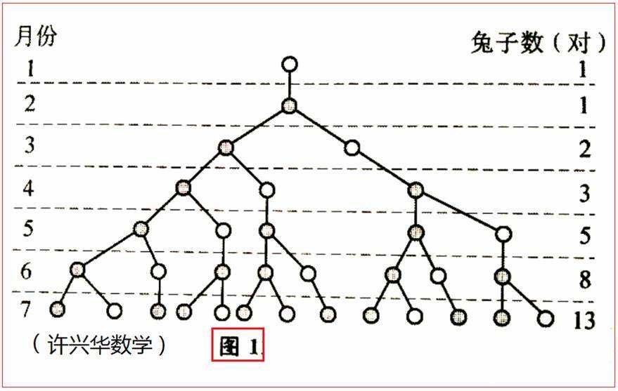 什么是斐波那契数列