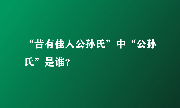 “昔有佳人公孙氏”中“公孙氏”是谁？