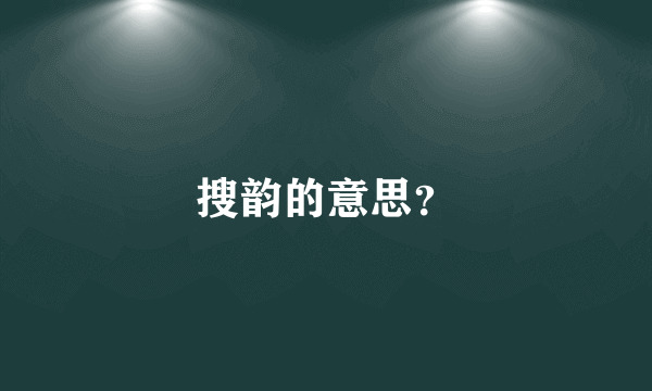 搜韵的意思？