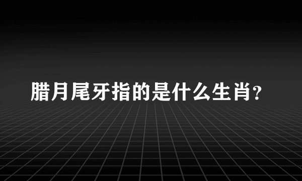 腊月尾牙指的是什么生肖？