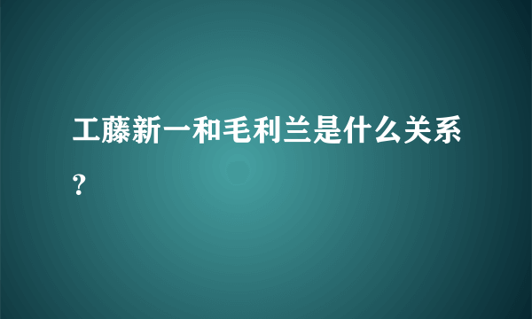 工藤新一和毛利兰是什么关系？