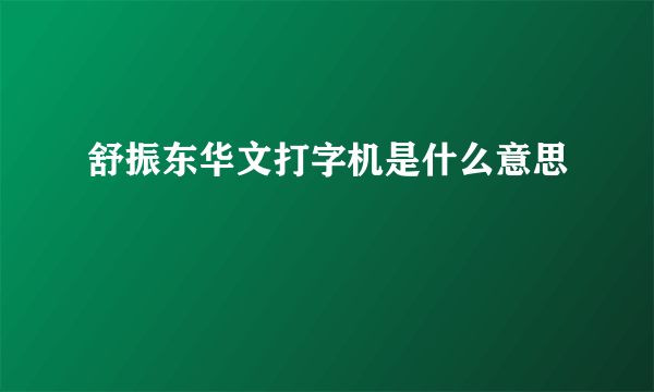 舒振东华文打字机是什么意思