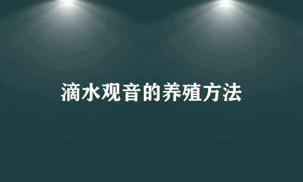 滴水观音的养殖方法