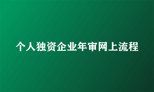 个人独资企业年审网上流程