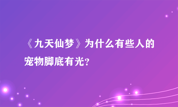 《九天仙梦》为什么有些人的宠物脚底有光？