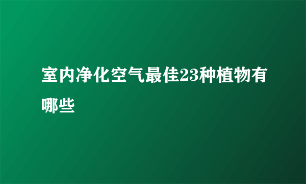 室内净化空气最佳23种植物有哪些