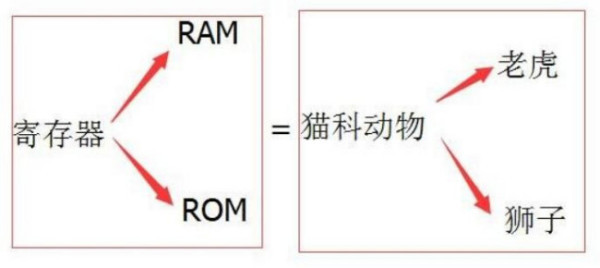 单片机sfr和sbit有什么区别