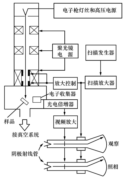 扫描电镜