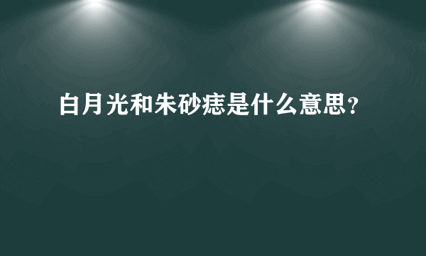 白月光和朱砂痣是什么意思？