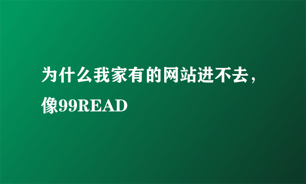 为什么我家有的网站进不去，像99READ