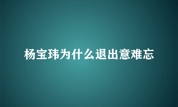 杨宝玮为什么退出意难忘