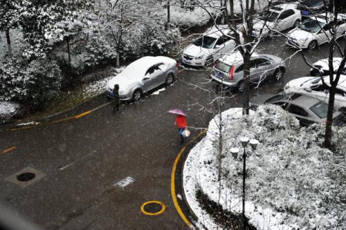 广西南宁会下雪吗