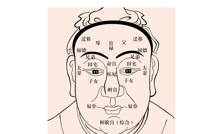 双眉间有一条很深的竖纹在面相学上解释是怎么回事