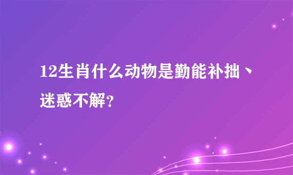 12生肖什么动物是勤能补拙丶迷惑不解？