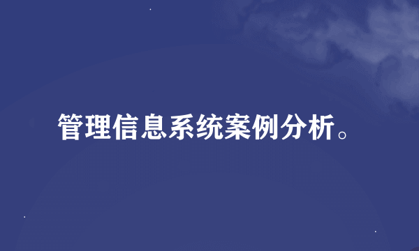 管理信息系统案例分析。