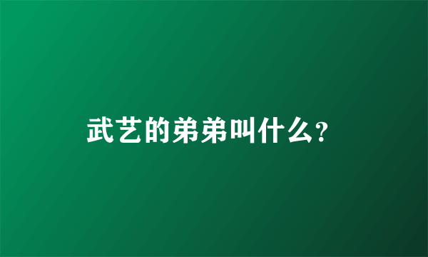 武艺的弟弟叫什么？