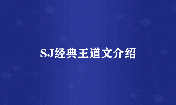 SJ经典王道文介绍