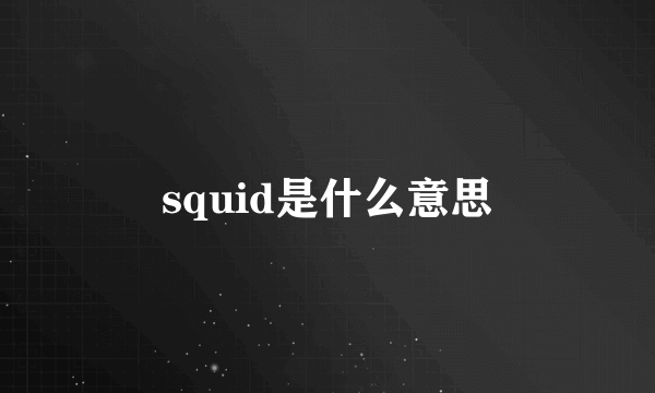 squid是什么意思