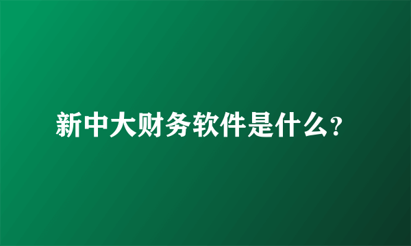 新中大财务软件是什么？