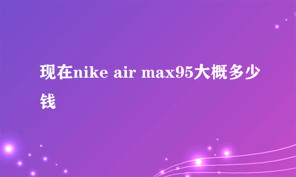 现在nike air max95大概多少钱