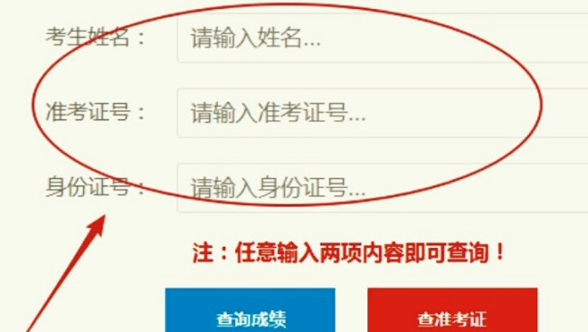 罗湖教育信息网怎么查成绩