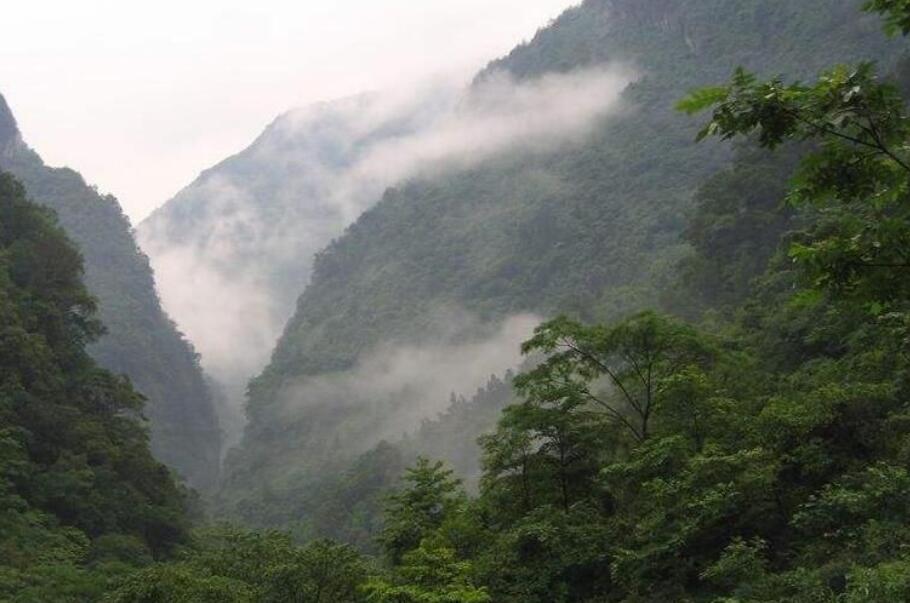 金佛山旅游的门票多少？