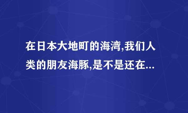 在日本大地町的海湾,我们人类的朋友海豚,是不是还在遭受着血腥的屠杀?