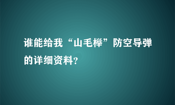 谁能给我“山毛榉”防空导弹的详细资料？