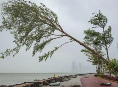 广东广西海南等地即将进入台风雨模式，当地做出了哪些应对措施？