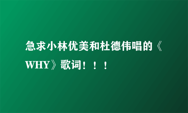 急求小林优美和杜德伟唱的《WHY》歌词！！！